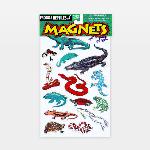 Frog & Reptile Magnet Set